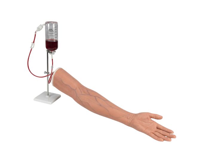 Decubitus Ulcer Care Simulator with Multi-Stage Wound Training