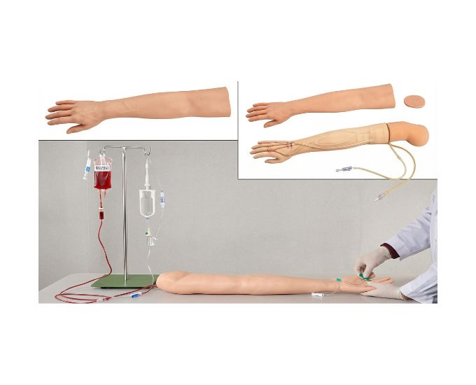 Injectable Training Arm for Venipuncture and Intramuscular Injection Practice