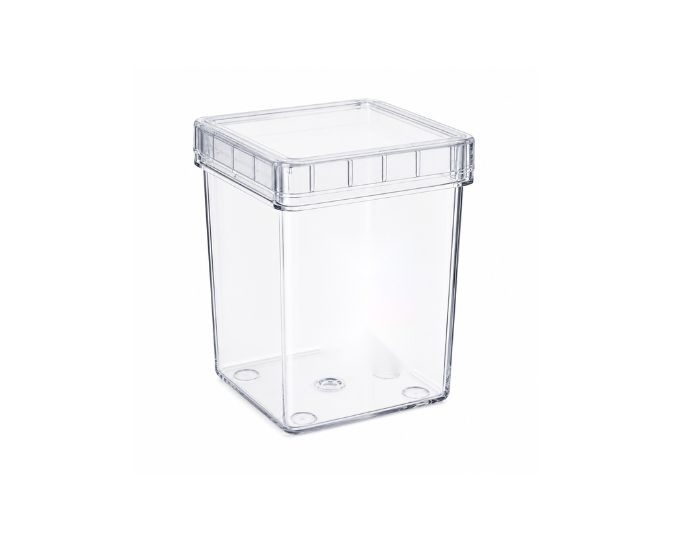Magenta Box