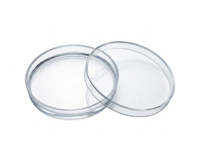 Petri Dish