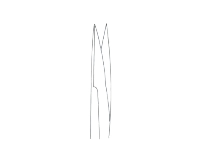 Strully Neurosurgical Scissors for Precision Brain and Tissue Surgery