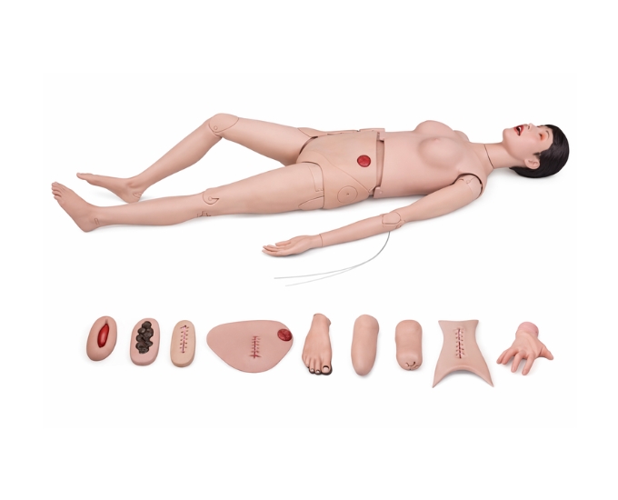 Comprehensive Nursing Training Manikin with Advanced Clinical Simulation Features