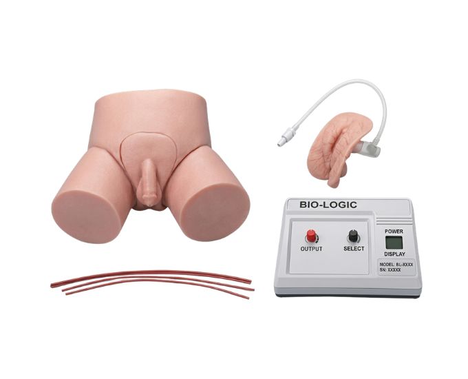 Electronic Urethral Catheterization and Enema Training Model with Indicator System