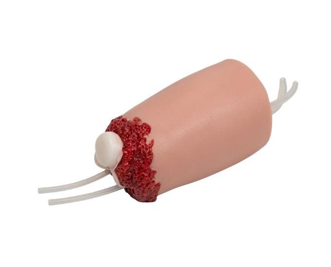 Lower Limb Amputation and Hemostasis Training Model with Femoral Artery Compression